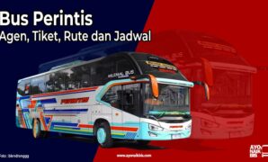 Bus Perintis