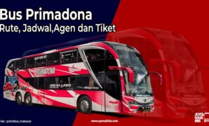 Bus Primadona