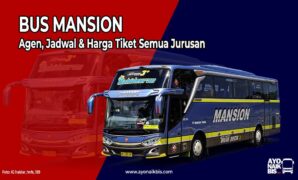 Bus Mansion