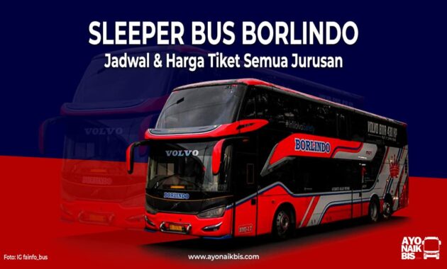 Sleeper Bus Borlindo