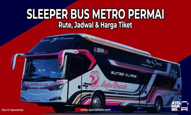 Sleeper Bus Metro Permai