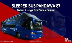 Sleeper Bus Pandawa 87