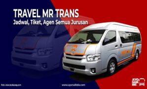 Travel MR Trans