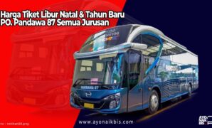 Tiket Natal Tahun Baru Pandawa 87