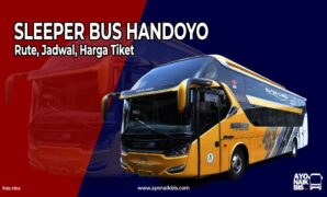 Sleeper Bus Handoyo