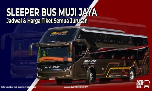 Sleeper Bus Muji Jaya
