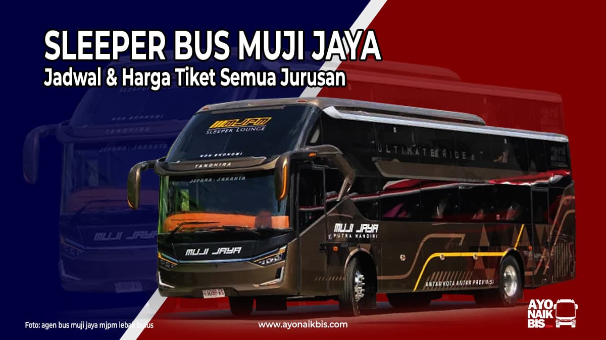 Sleeper Bus Muji Jaya