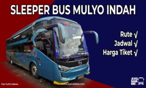 Sleeper Bus Mulyo Indah