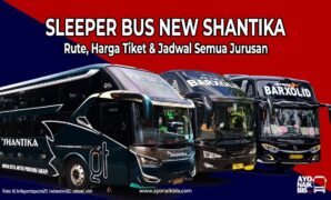 Sleeper Bus New Shantika