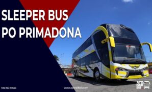 Sleeper Bus Primadona