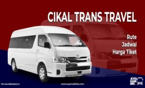 Cikal Trans