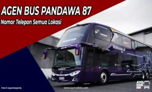 Agen Pandawa 87