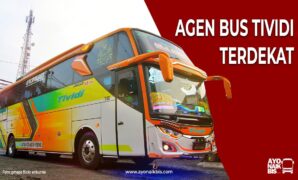 Agen Bus Tividi