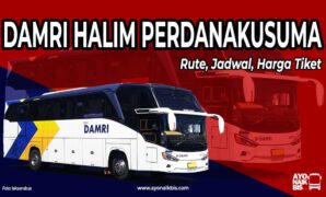 Bus DAMRI Halim Perdanakusuma