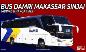 Bus DAMRI Makassar Sinjai