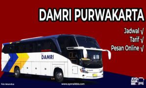 Bus DAMRI Purwakarta