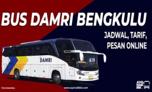 Bus DAMRI Bengkulu