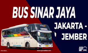 SInar Jaya Jakarta Jember