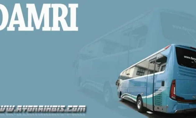 Bus DAMRI