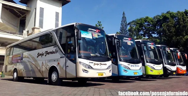 Bus Pariwisata PO Senja Furnindo