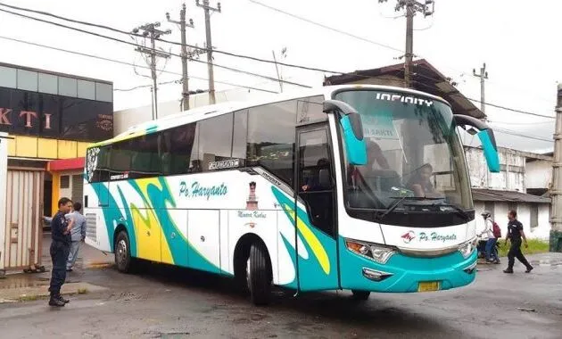 Infinity Haryanto