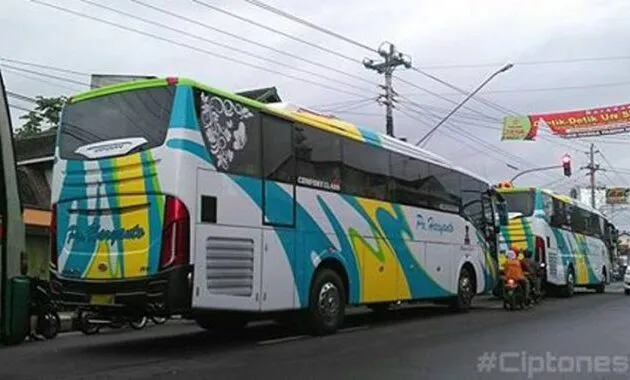 Infinity Haryanto