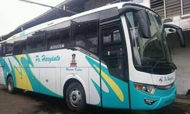 Infinity Haryanto