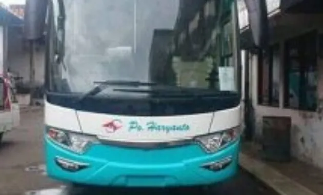 Infinity Haryanto