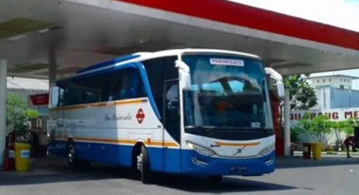 Jetbus 2 Adi Putro