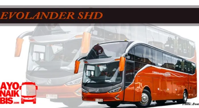 Bus Indonesia