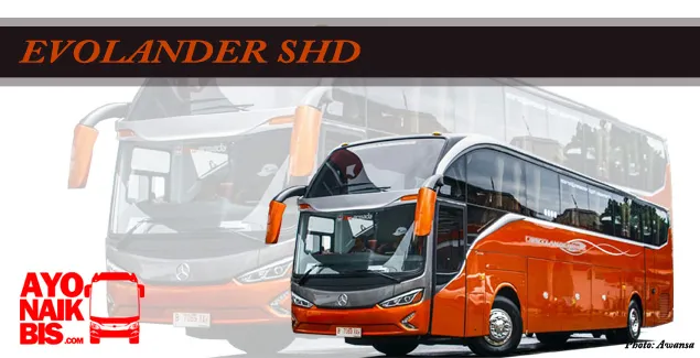 Evolander SHD