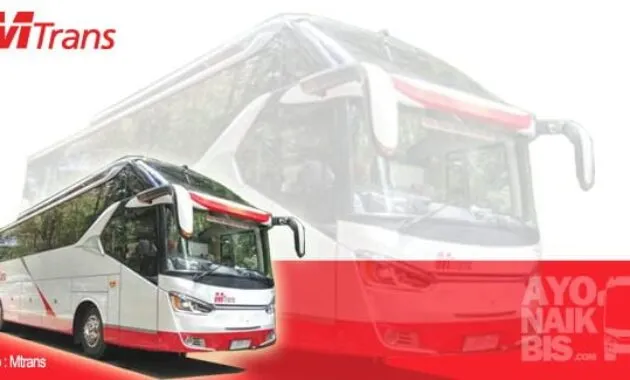 Bus Terbaru