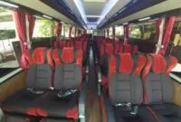 Bus Terbaru