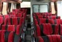 Bus Terbaru