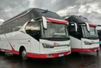 Bus Terbaru
