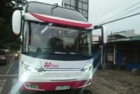 Bus Terbaru