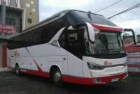 Bus Terbaru