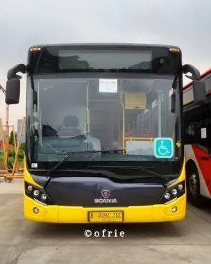 Bus terbaru