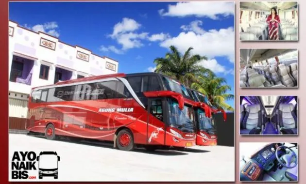 Bus Terbaru