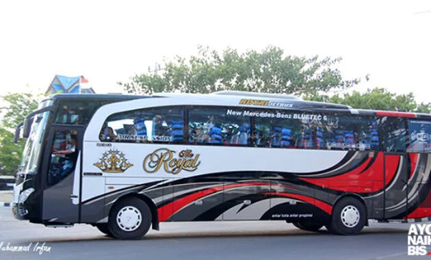 Agen bus The Royal