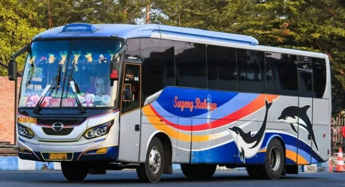 Dicovery Sugeng Rahayu