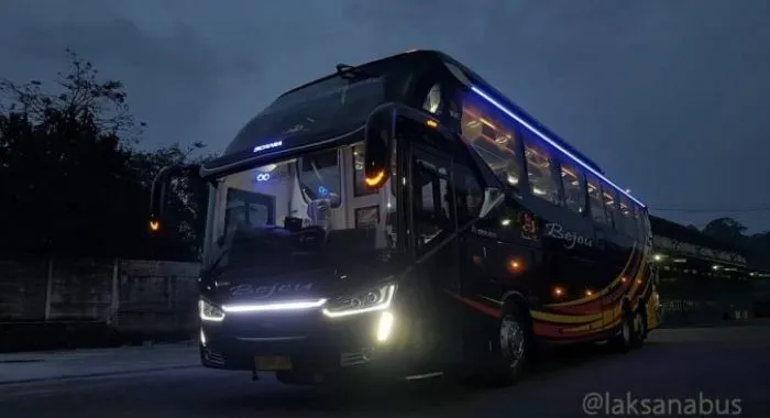 Bus Terbaru Bejeu