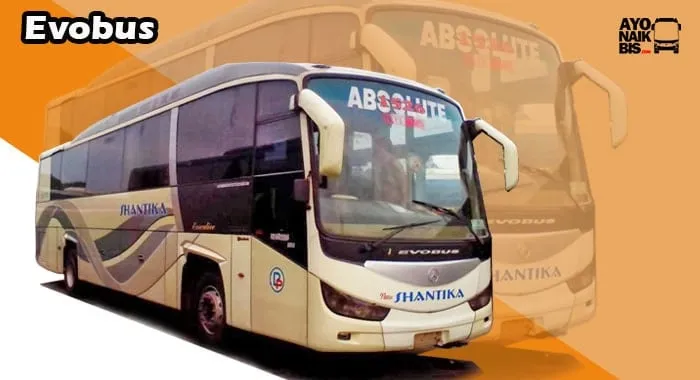 Evobus New Armada