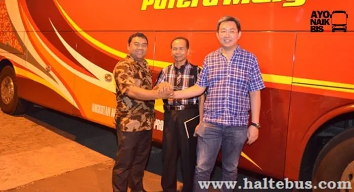 Pemilik Pumas