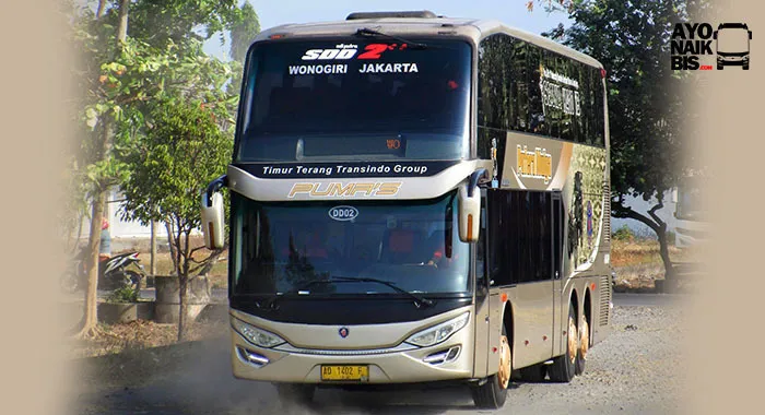 Bus Tingkat Pumas