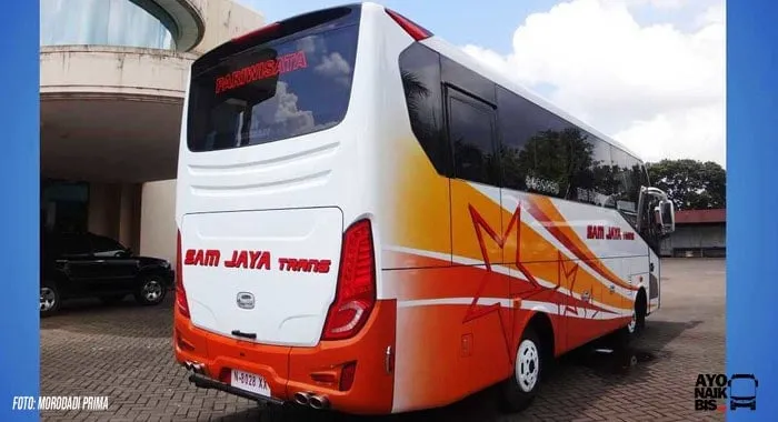 Foto belakang Patriotace
