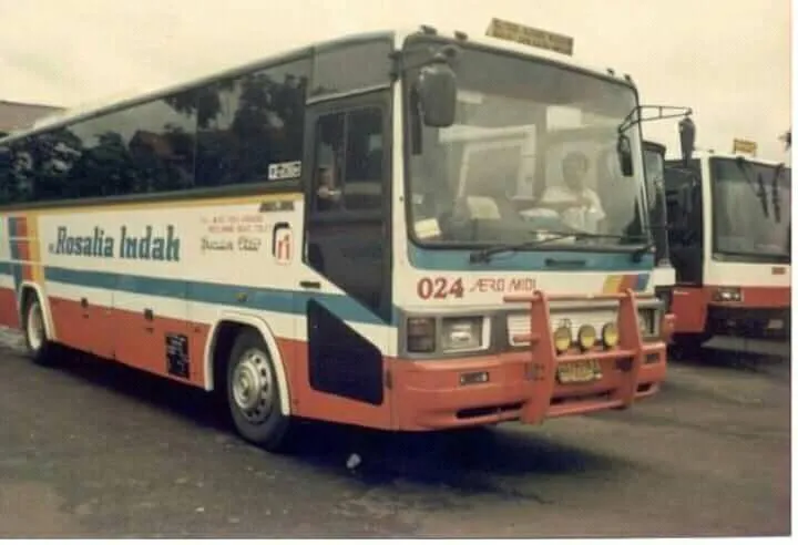 Banteng Rosalia Indah