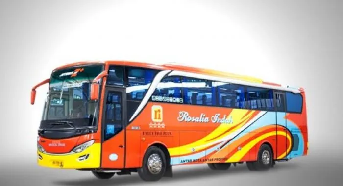 Bus Executive Plus