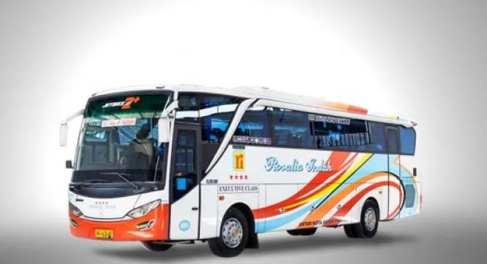 Bus Executive