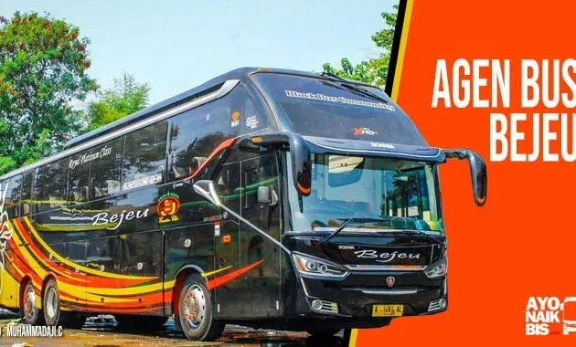 agne bus Bejeu